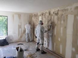 Why You Should Choose Our Mold Remediation Services in Shamrock, TX